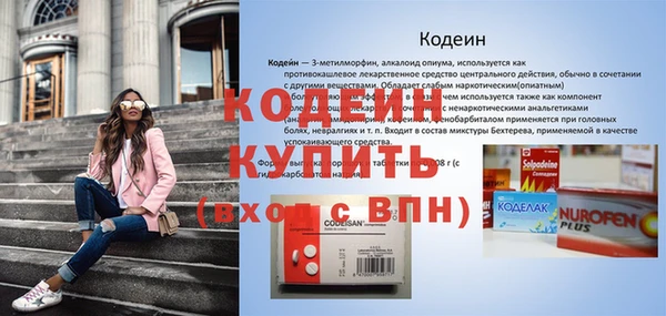 трава Белокуриха