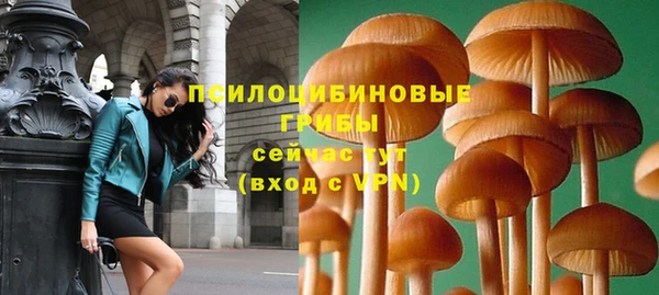 трава Белокуриха