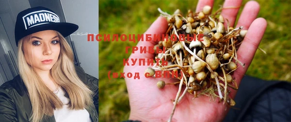 мяу мяу мука Беломорск