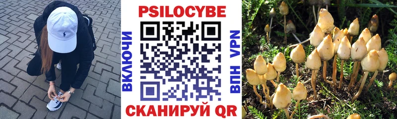 Галлюциногенные грибы мицелий  ОМГ ОМГ ссылки  Кыштым 
